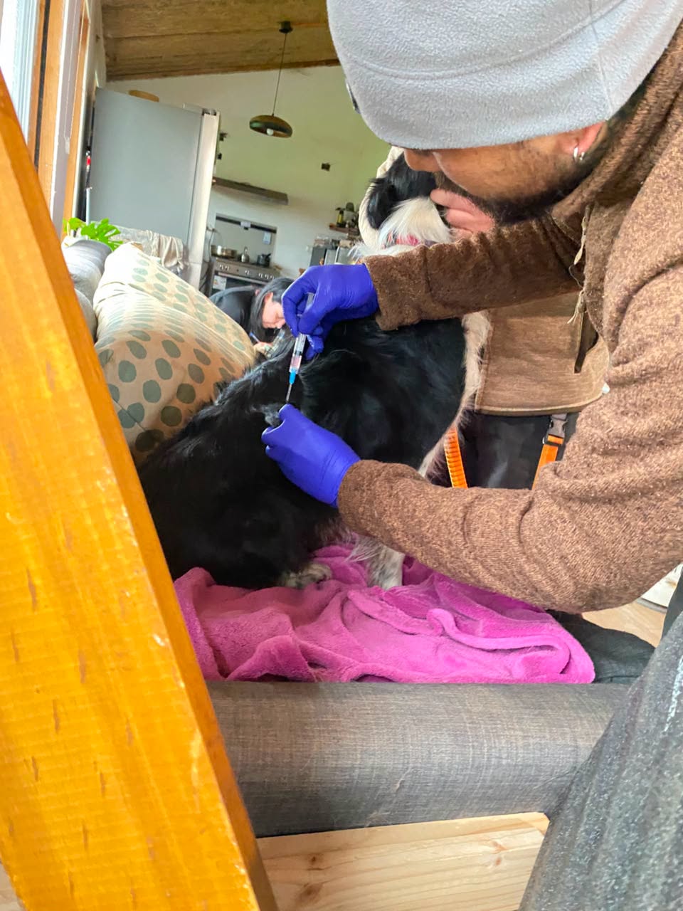 Operativo de vacunación acercó la atención veterinaria a Alto Las Lomas